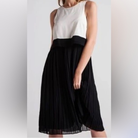 Banana Republic Factory Dresses & Skirts - Banana Republic Pleated Black and White Sleeveless Dress Size 4 Petite
